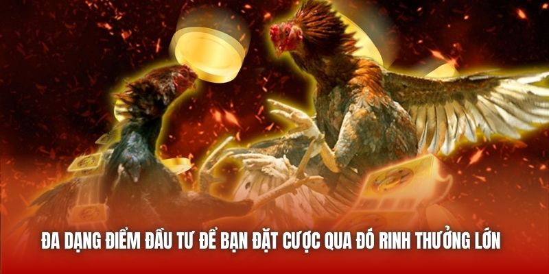 Đa dạng điểm đầu tư để bạn đặt cược qua đó rinh thưởng lớn