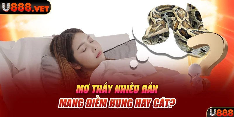 Mơ thấy nhiều rắn mang điềm hung hay cát?