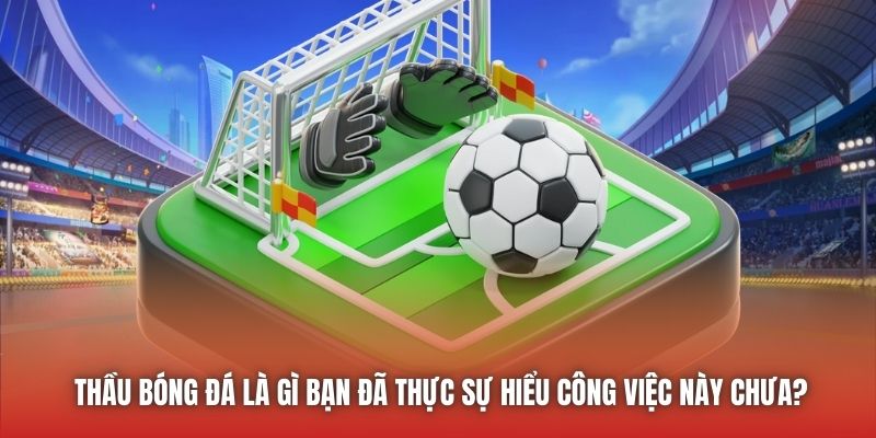 Thầu bóng đá là gì bạn đã thực sự hiểu công việc này chưa?