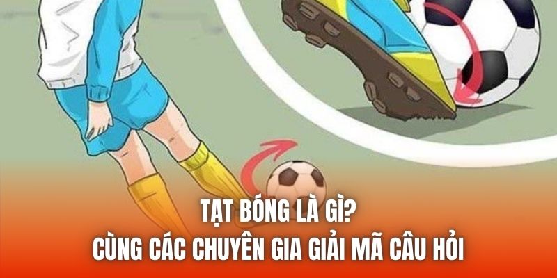Tạt Bóng Là Gì? Cùng Các Chuyên Gia Giải Mã Câu Hỏi