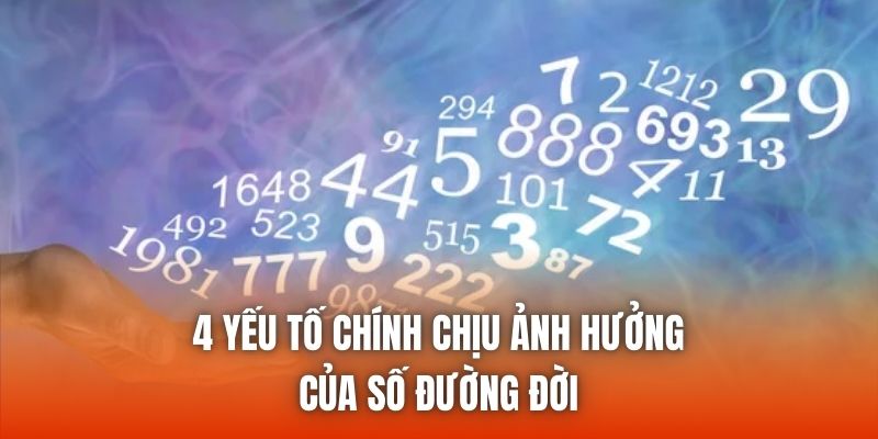 4 yếu tố chính chịu ảnh hưởng của số đường đời
