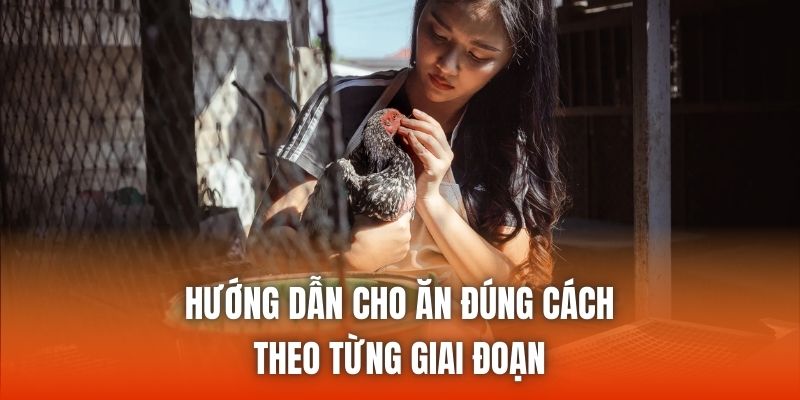Hướng dẫn cho ăn đúng cách theo từng giai đoạn
