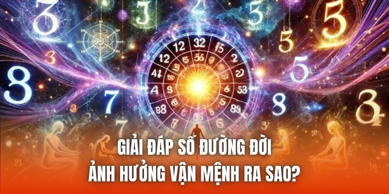Giải Đáp Số Đường Đời Ảnh Hưởng Vận Mệnh Ra Sao?